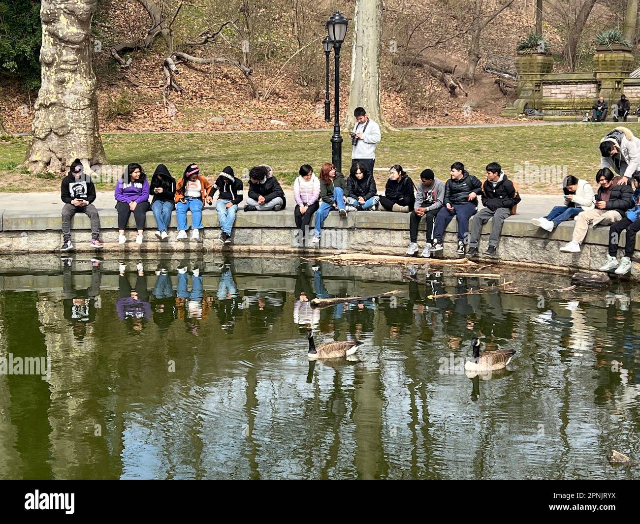 Il gruppo scolastico adolescente si siede lungo l'acqua al LeFrak Center at Lakeside in Prospect Park, Brooklyn, New York. Foto Stock