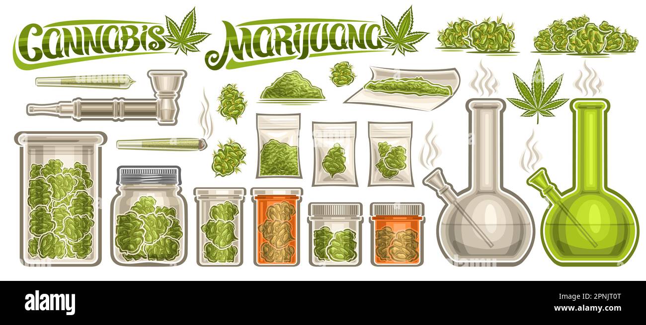 Set di Cannabis Vector, collezione di lotti di vasi di vetro con illustrazioni ritagliate con cannabis medicinale ricreativa, gruppo di germogli erbosi verdi in sacchetti di plastica Illustrazione Vettoriale