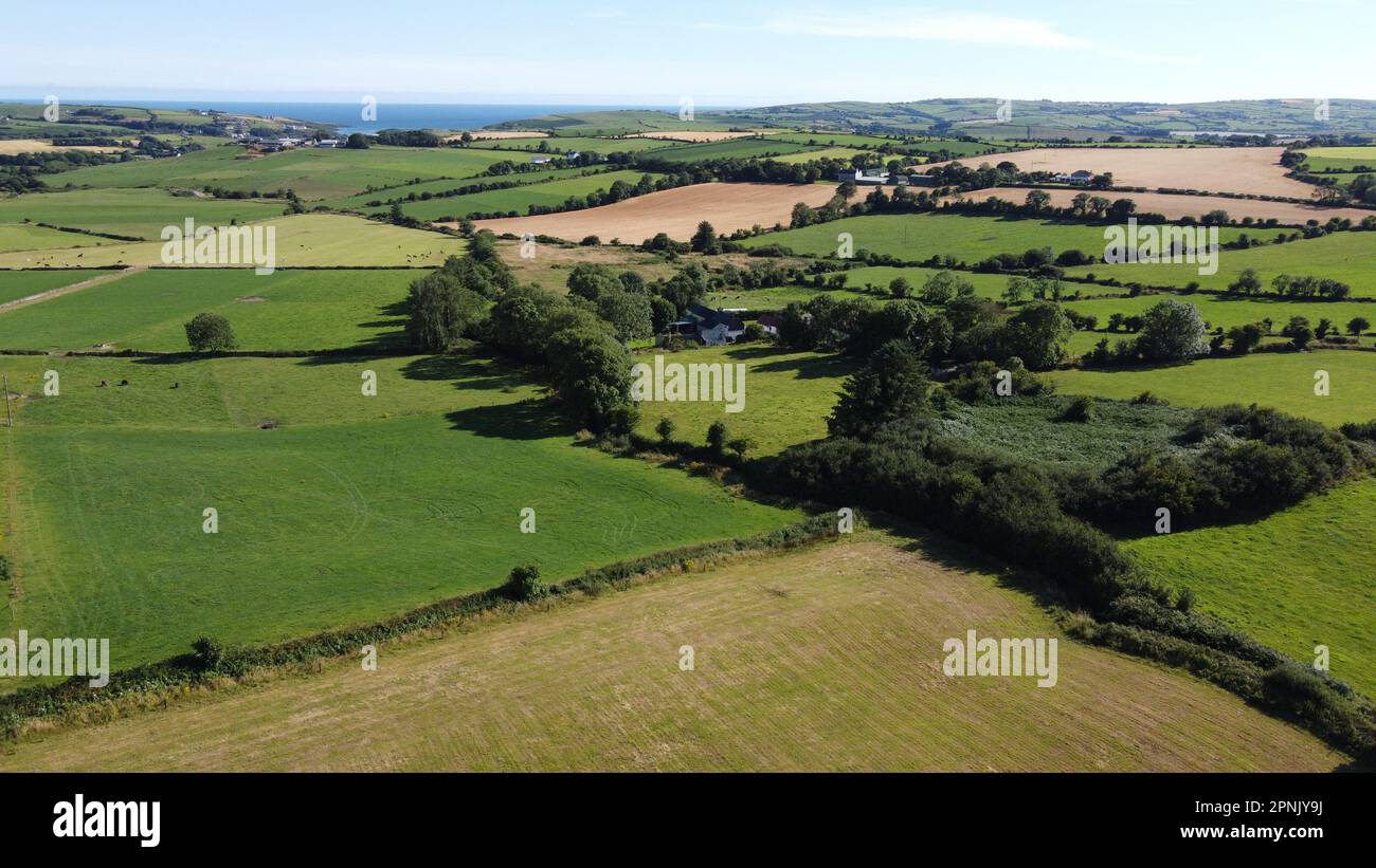 campi. Paesaggio agricolo in estate. Campi di erba e alberi. Verde prato campo con alberi Foto Stock