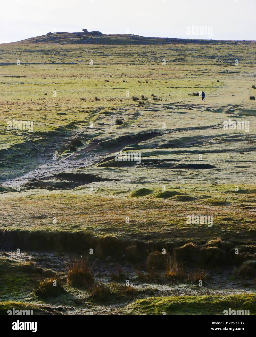 Rough Tor and Showery Tor, Bodmin Moor, Cornwall, Regno Unito Foto Stock