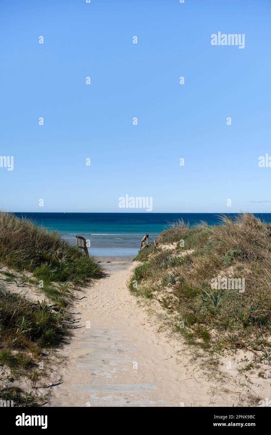 Dune di spiaggia con passerella in legno in Una spiaggia di Lanzada, o Grove, Galizia, Spagna Foto Stock