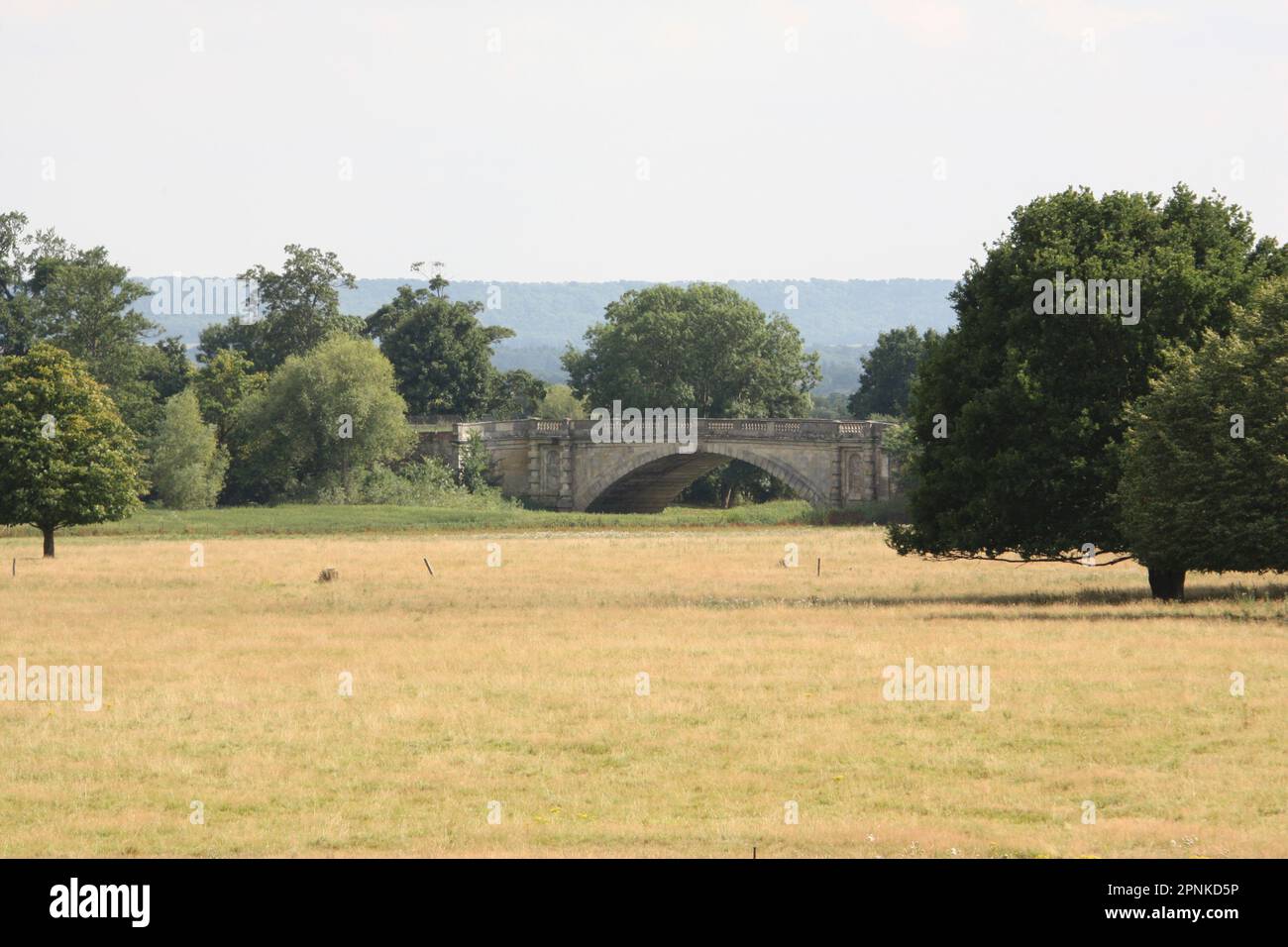 Attingham Park vicino a Shrewsbury, Parkland. Foto Stock