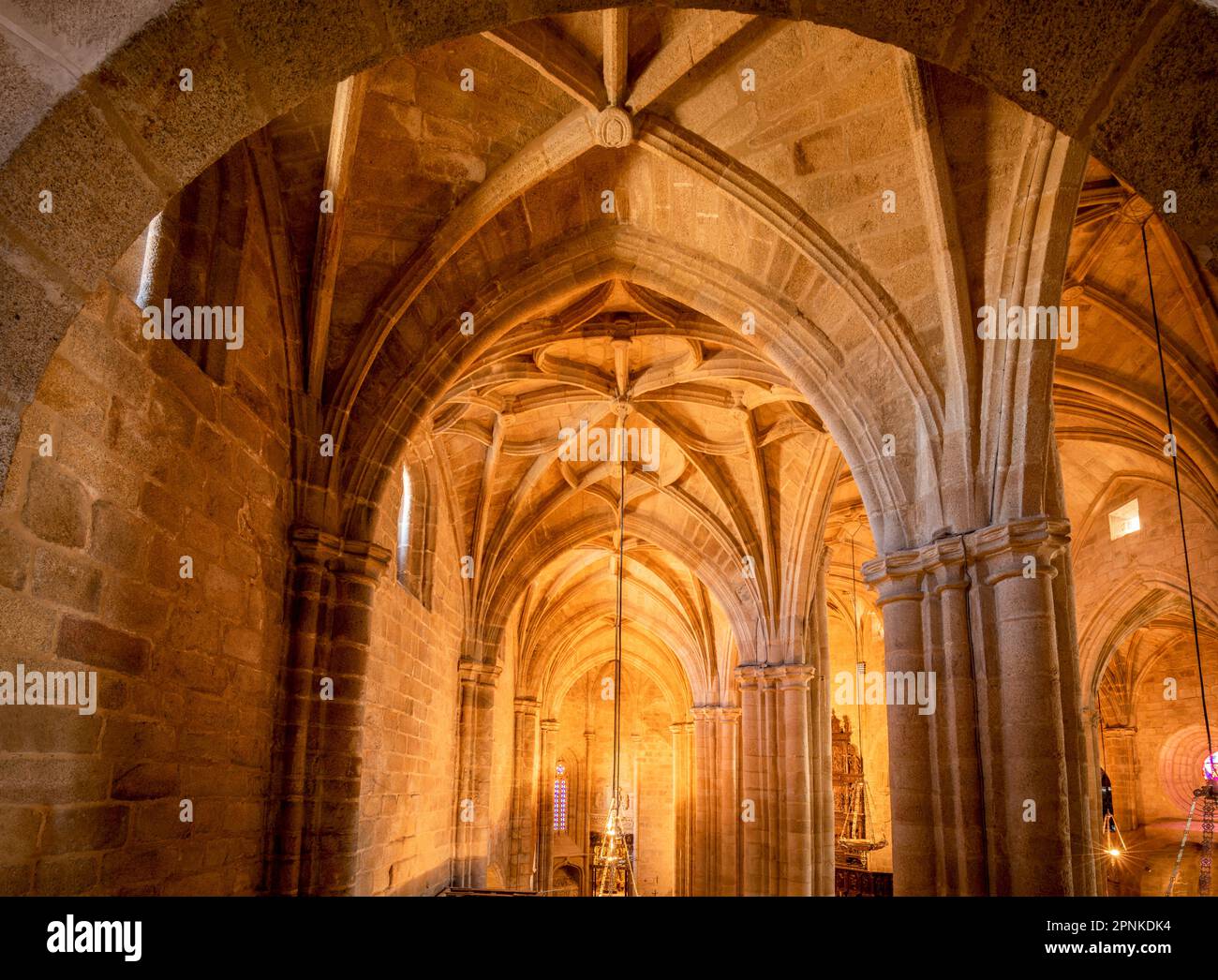 Vista su una navata laterale gotica con colonne e volte con illuminazione soffusa e accogliente di una cattedrale spagnola Foto Stock
