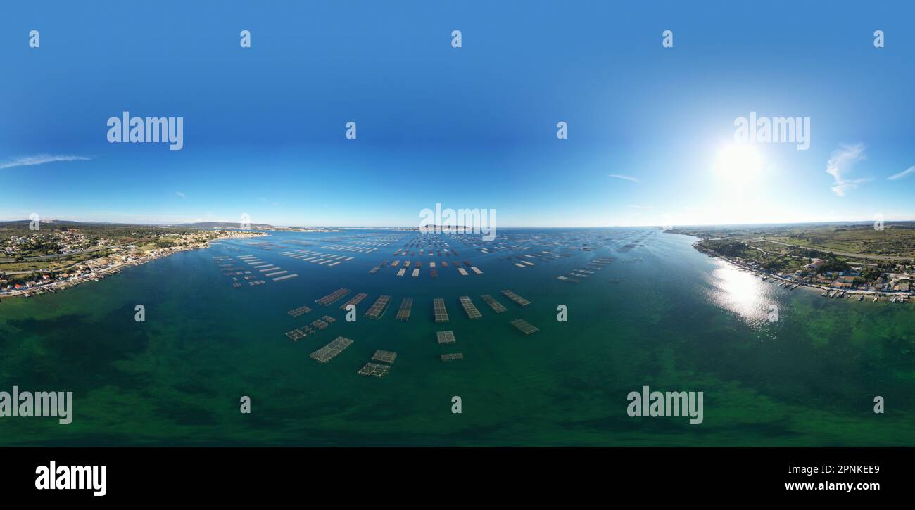 Veduta aerea dei tavoli di ostriche sull'Etang de Thau in Occitanie, Francia Foto Stock