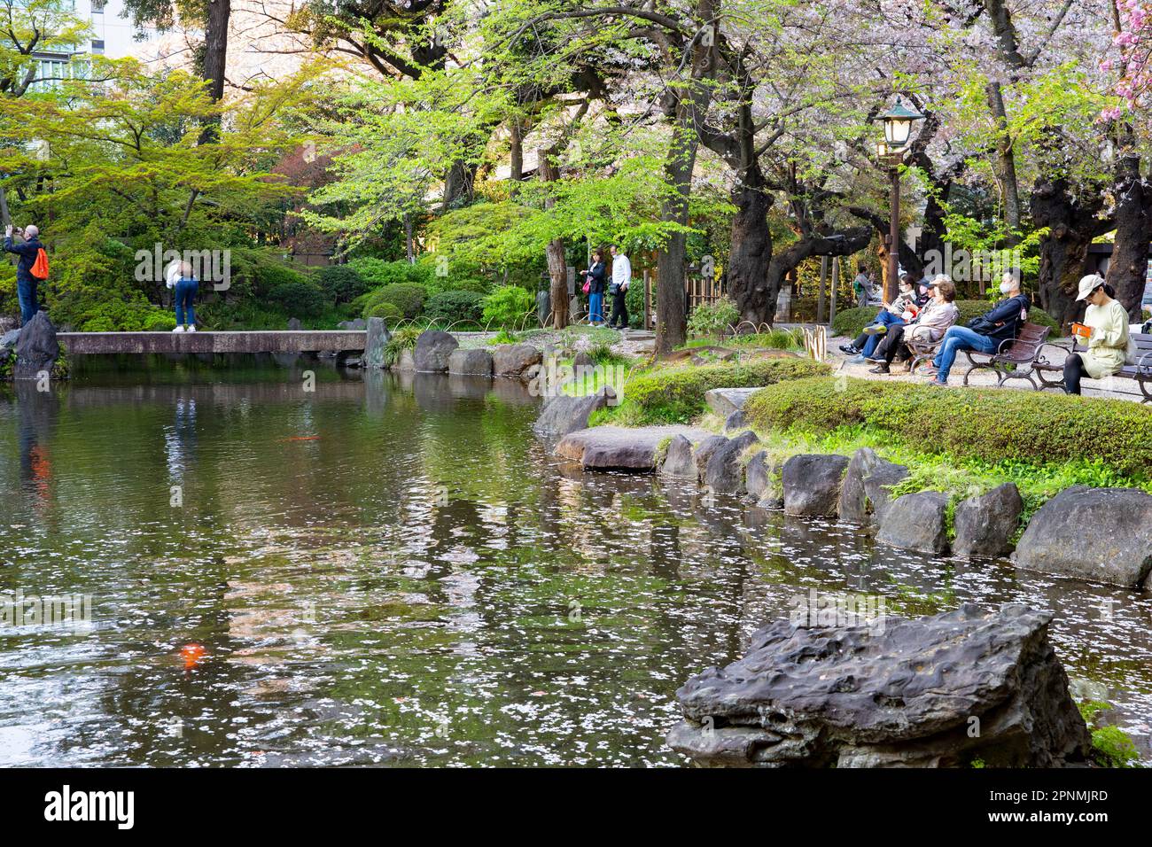 Tokyo 2023 aprile, Giardini Shinchi il Sacro Pond Garden nei terreni del santuario Yasukini a Chiyoda City, Tokyo, Giappone Foto Stock