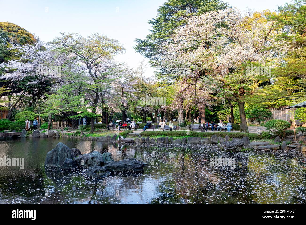 Tokyo 2023 aprile, Giardini Shinchi il Sacro Pond Garden nei terreni del santuario Yasukini a Chiyoda City, Tokyo, Giappone Foto Stock