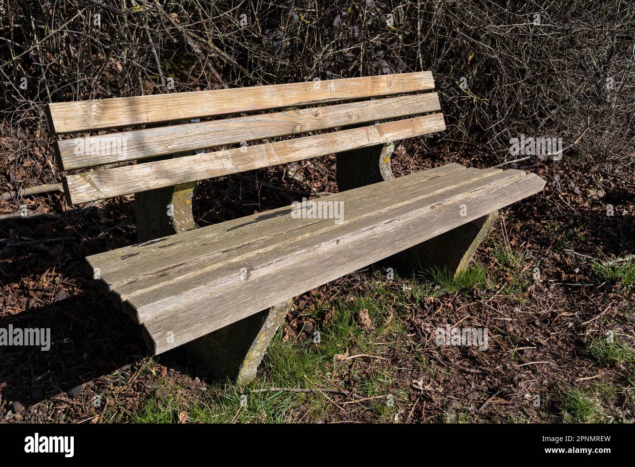 Panca con rami sullo sfondo in una giornata di sole in primavera Foto Stock