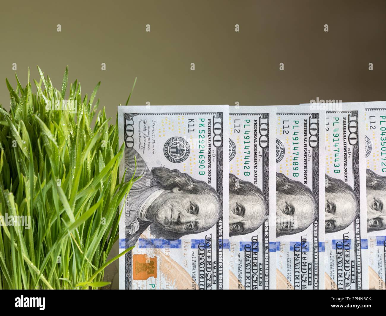 Dollari e portafoglio. Concetto di gestione finanziaria. Foto Stock