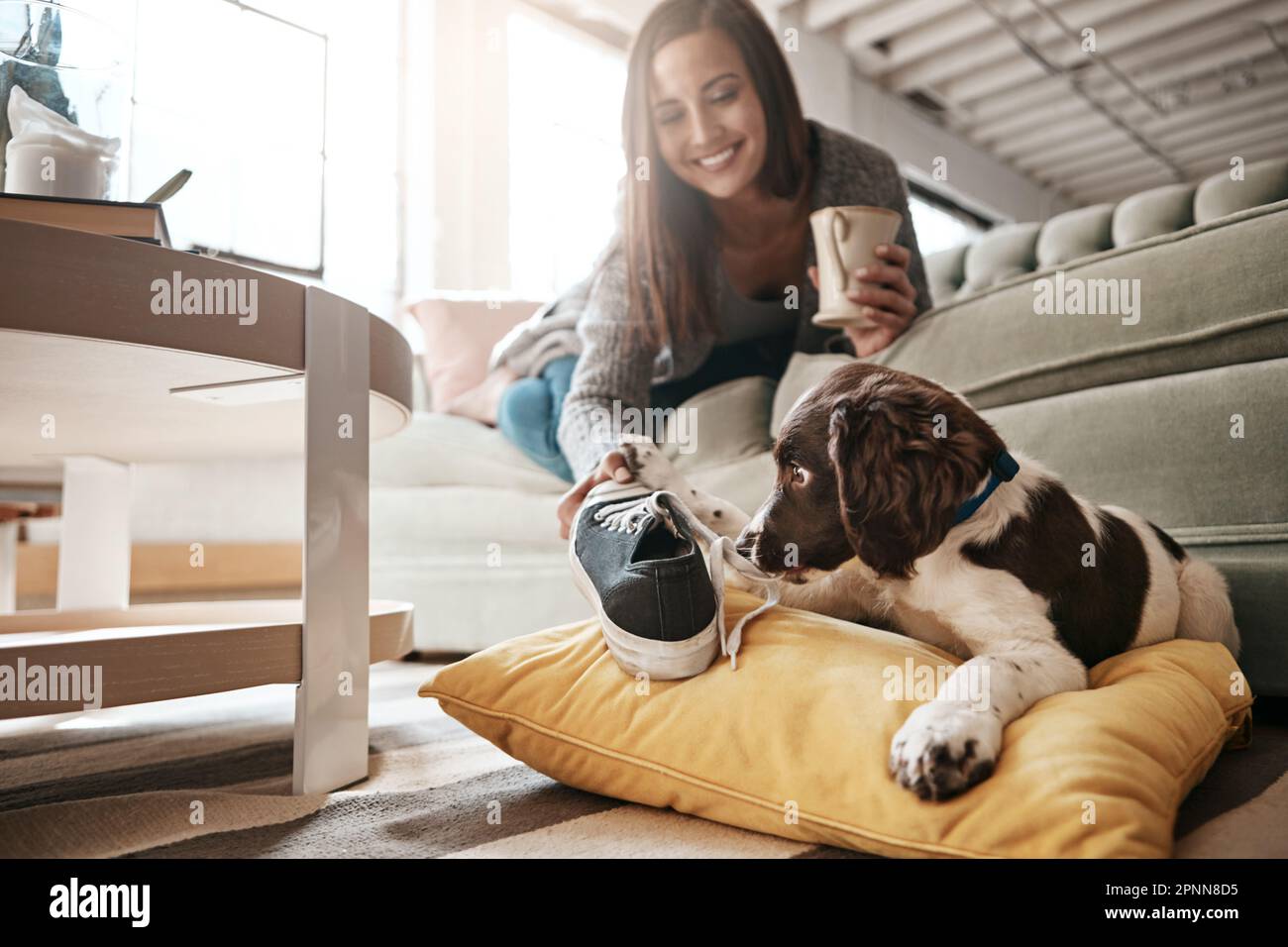 Che cosa mi vuole fare con questa scarpa stinky. una donna che dà il suo cane da compagnia il suo scarpone con cui giocare. Foto Stock