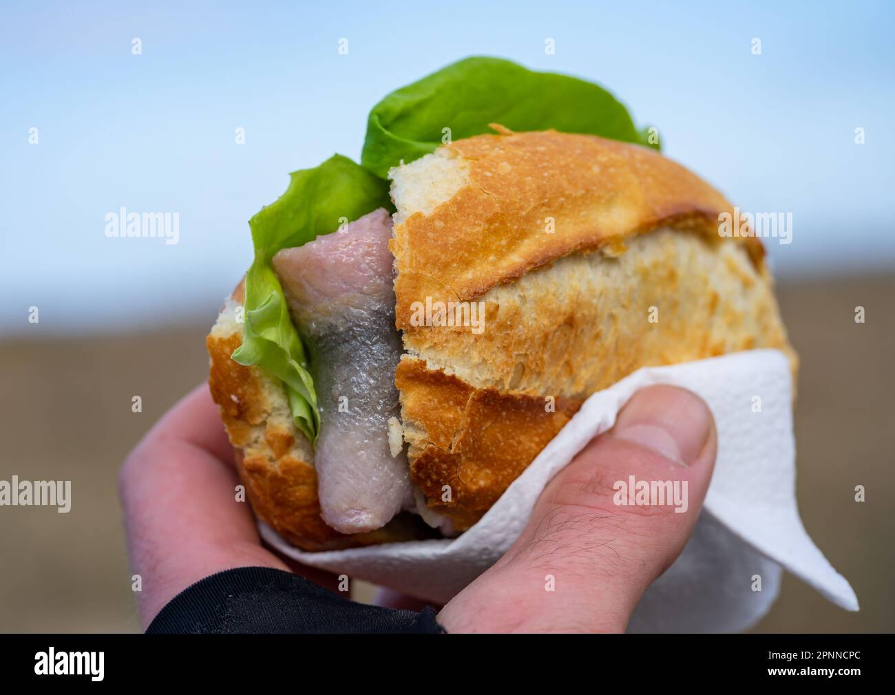 Mano che tiene un Fish Rolls con filetto di aringa Foto Stock