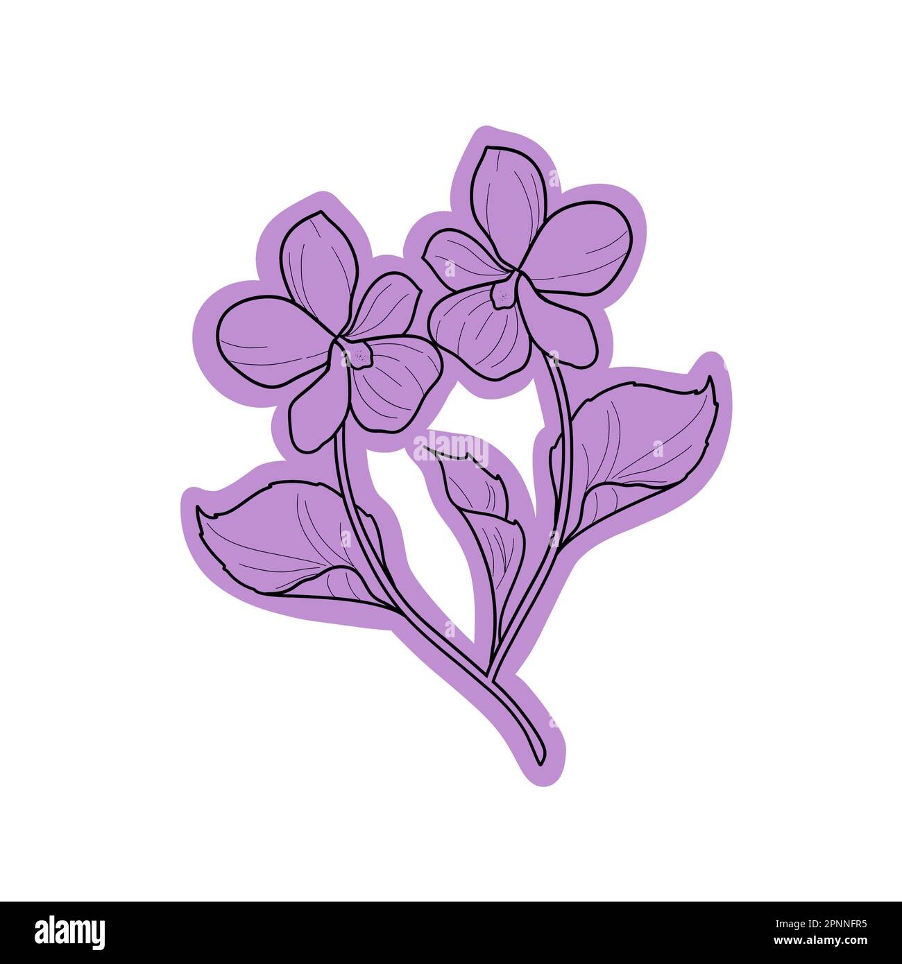 Icona viola fiore primrose. Si tratta di un'illustrazione versatile progettata per vari usi. Foto Stock