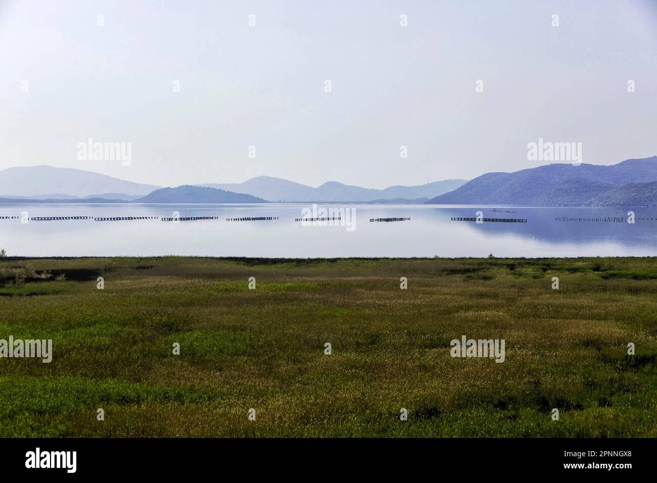 Lago Butrint, laguna di acqua salata sulla costa del Mar Ionio, impianti di allevamento di mitili (Mytilus galloprovincialis), Saranda, Quark Vlora Foto Stock