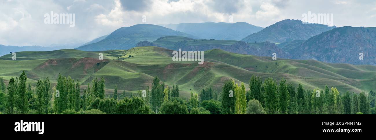 Kirghizistan natura verde paesaggio con vaste montagne. Il Kirghizistan è un paese senza sbocco sul mare situato nell'Asia centrale, noto per la sua aspra e montuosa t Foto Stock