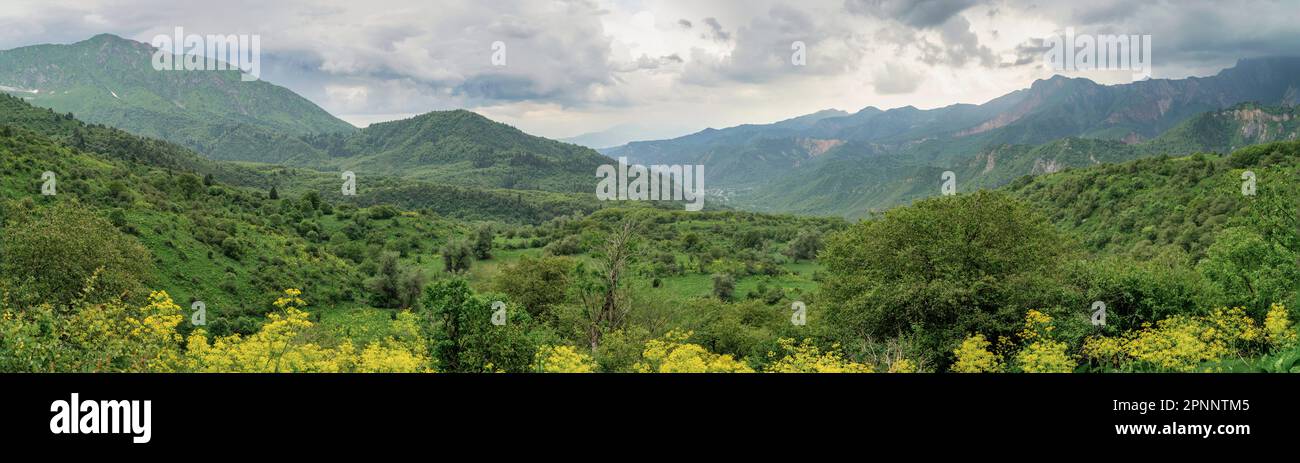 Parco naturale di Sary-Chelek, un'area protetta situata in Kirghizistan. Ospita una vasta gamma di specie vegetali e animali, tra cui sever Foto Stock