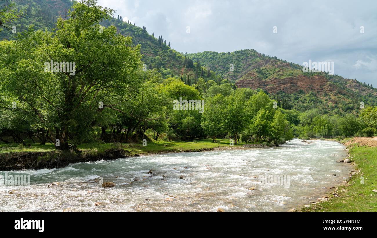 Parco naturale di Sary-Chelek, un'area protetta situata in Kirghizistan. Ospita una vasta gamma di specie vegetali e animali, tra cui sever Foto Stock