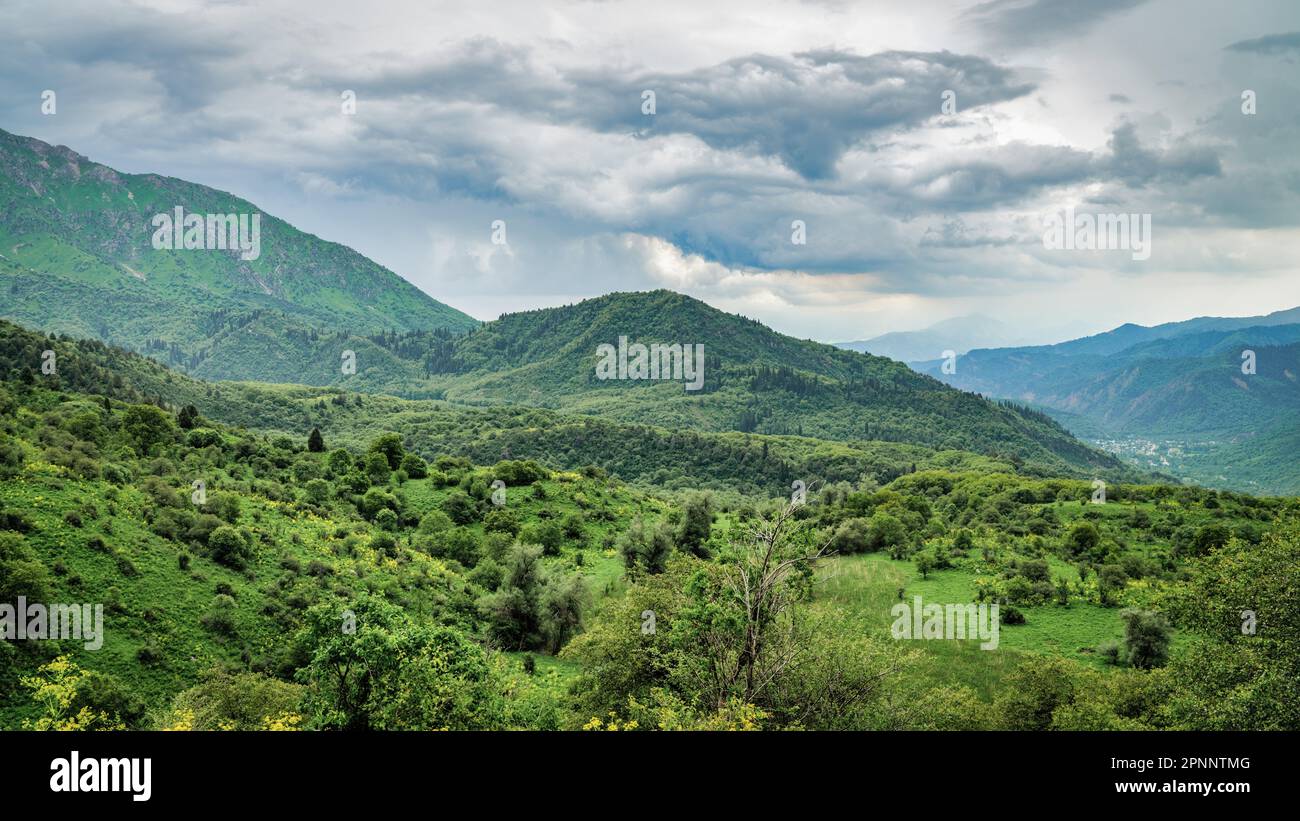 Parco naturale di Sary-Chelek, un'area protetta situata in Kirghizistan. Ospita una vasta gamma di specie vegetali e animali, tra cui sever Foto Stock