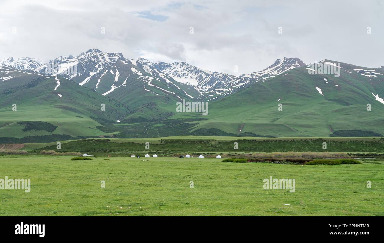 Kirghizistan natura verde paesaggio con montagne innevate. Il Kirghizistan è un paese senza sbocco sul mare situato nell'Asia centrale, noto per la sua aspro montagna Foto Stock