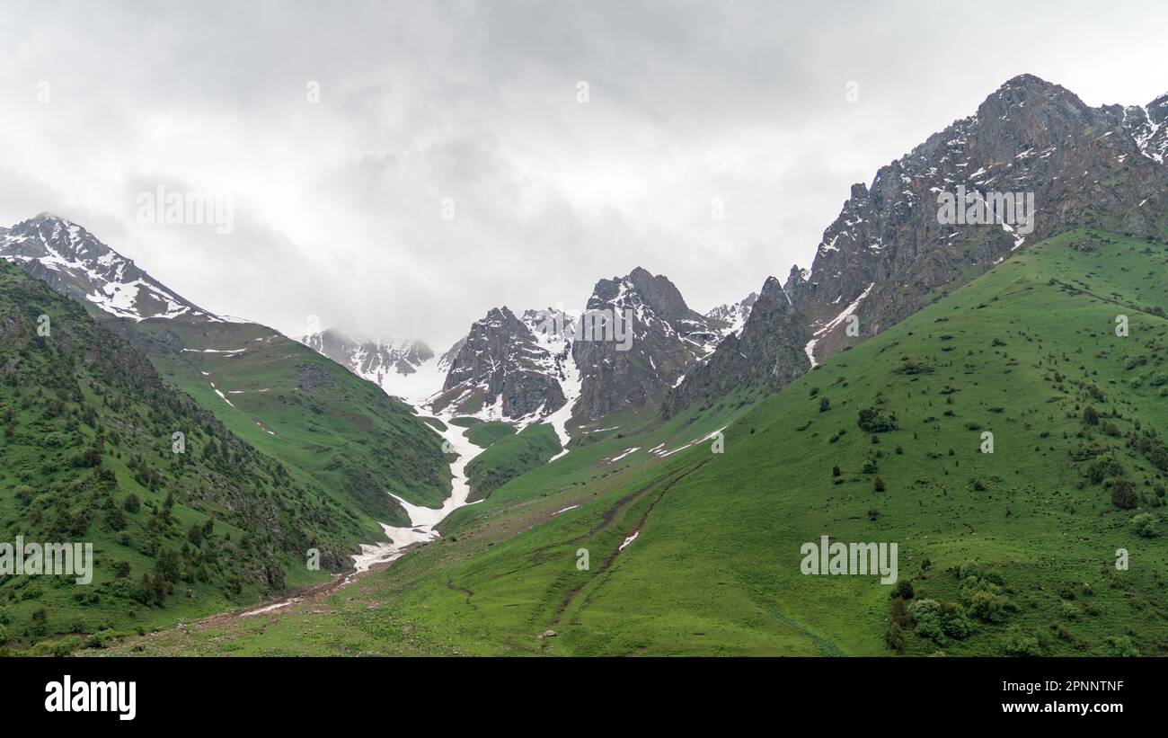 Kirghizistan natura verde paesaggio con montagne innevate. Il Kirghizistan è un paese senza sbocco sul mare situato nell'Asia centrale, noto per la sua aspro montagna Foto Stock