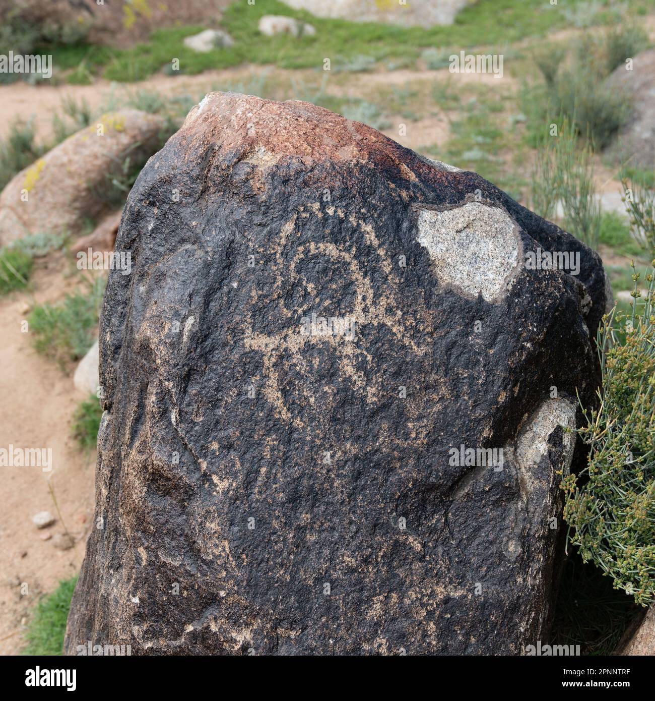 Petroglyph in Kirghizistan. Un'antica scultura e incisione di roccia conosciuta come petroglifi creati dalle popolazioni indigene migliaia di anni fa Foto Stock