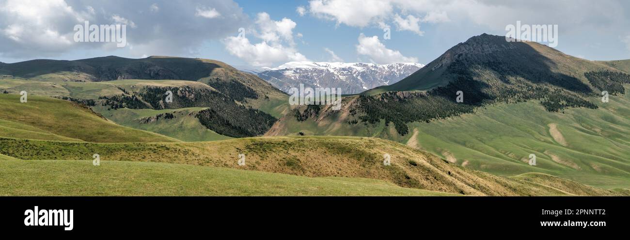 Kirghizistan natura verde paesaggio con vaste montagne. Il Kirghizistan è un paese senza sbocco sul mare situato nell'Asia centrale, noto per la sua aspra e montuosa t Foto Stock