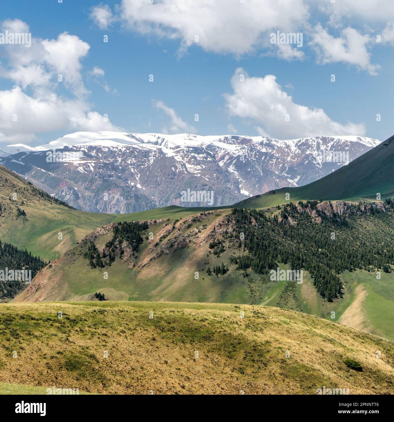 Kirghizistan natura verde paesaggio con vaste montagne. Il Kirghizistan è un paese senza sbocco sul mare situato nell'Asia centrale, noto per la sua aspra e montuosa t Foto Stock