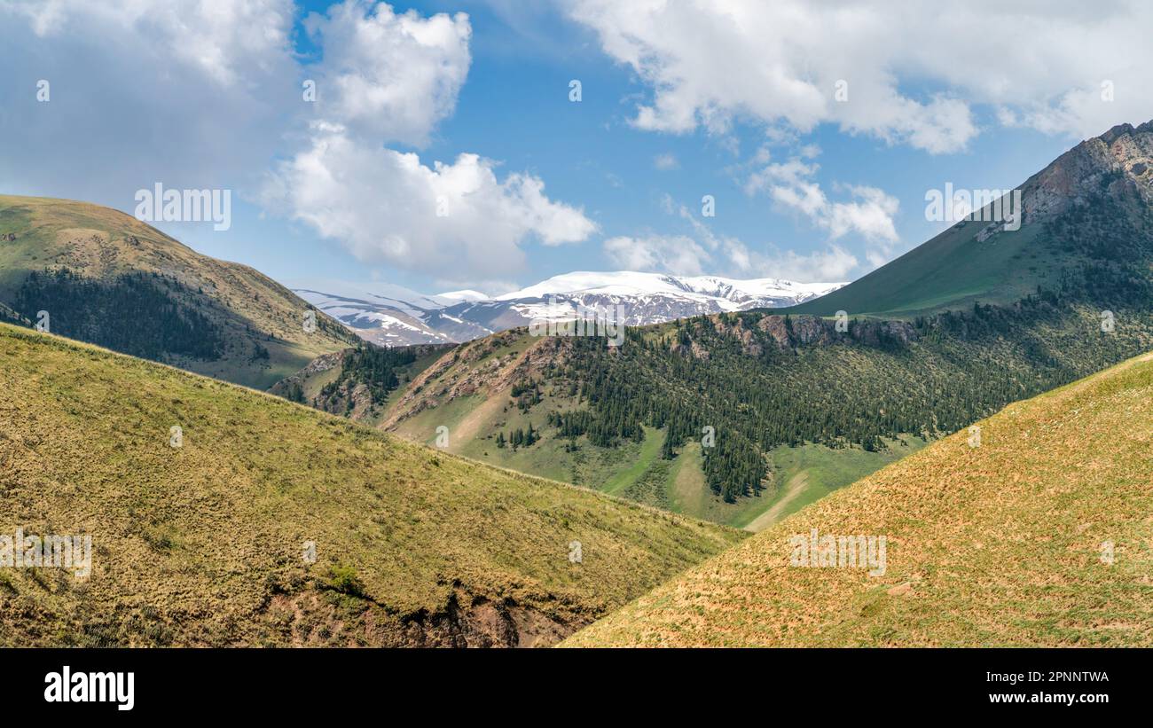Kirghizistan natura verde paesaggio con vaste montagne. Il Kirghizistan è un paese senza sbocco sul mare situato nell'Asia centrale, noto per la sua aspra e montuosa t Foto Stock