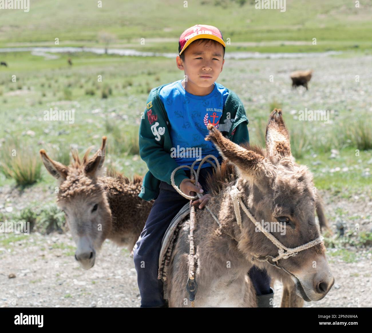Kirghizistan - Maggio 2022: Capretto kirghizistan in sella a un asino in campagna. C'è un forte legame tra le persone e i loro asini, che svolgono un ruolo vitale Foto Stock