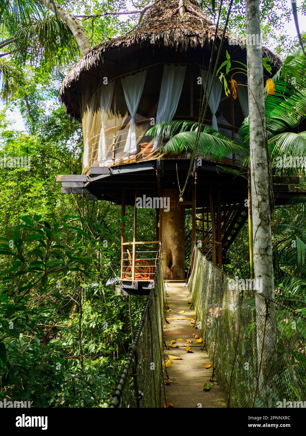 Alloggi glamping nella foresta pluviale Amazzonica. Treehouse in legno, Foresta pluviale Amazzonica, Amazzonia, Pacaya Samiria National Reserve, Perù, Sud America. Foto Stock