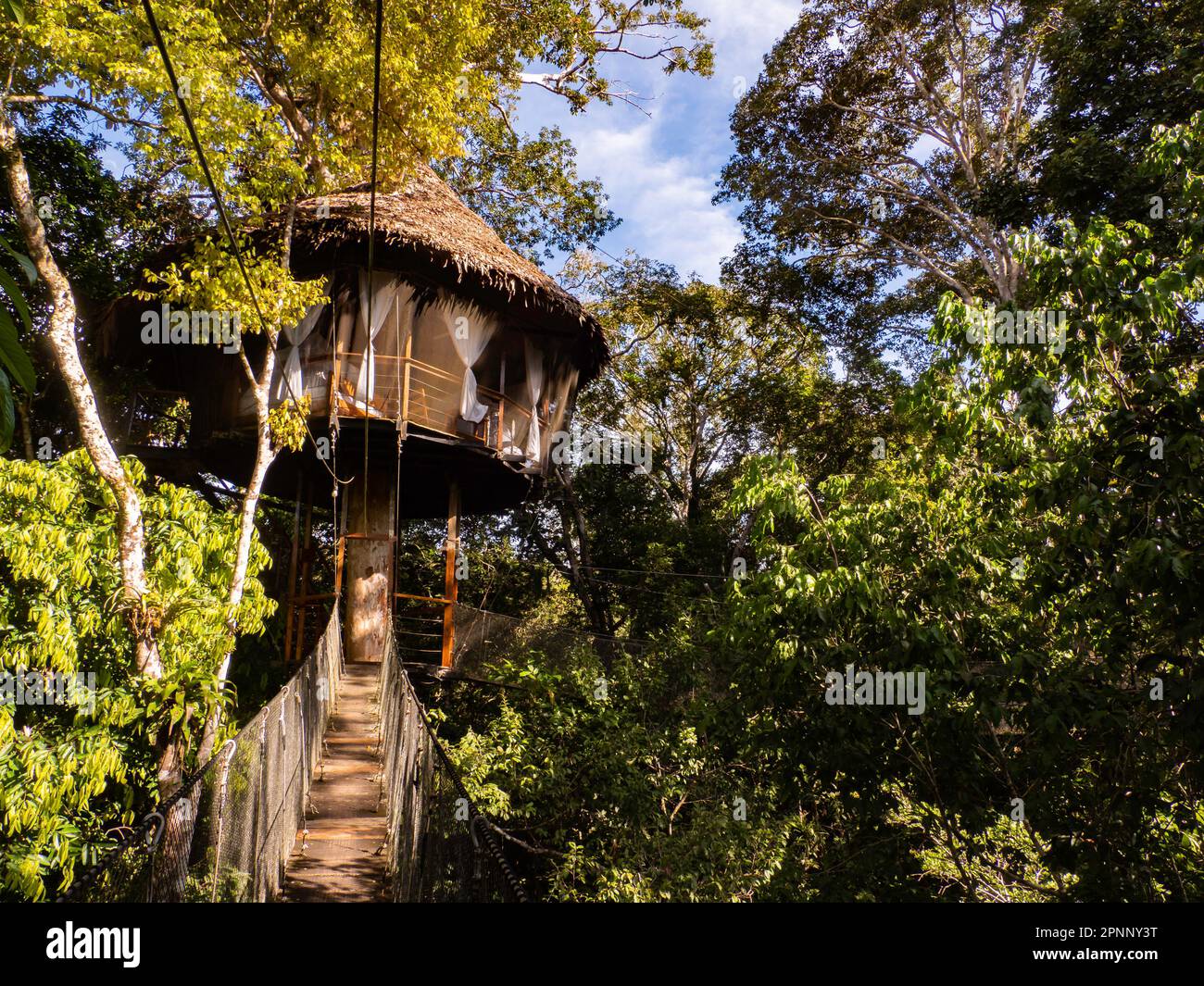 Alloggi glamping nella foresta pluviale Amazzonica. Treehouse in legno, Foresta pluviale Amazzonica, Amazzonia, Pacaya Samiria National Reserve, Perù, Sud America. Foto Stock