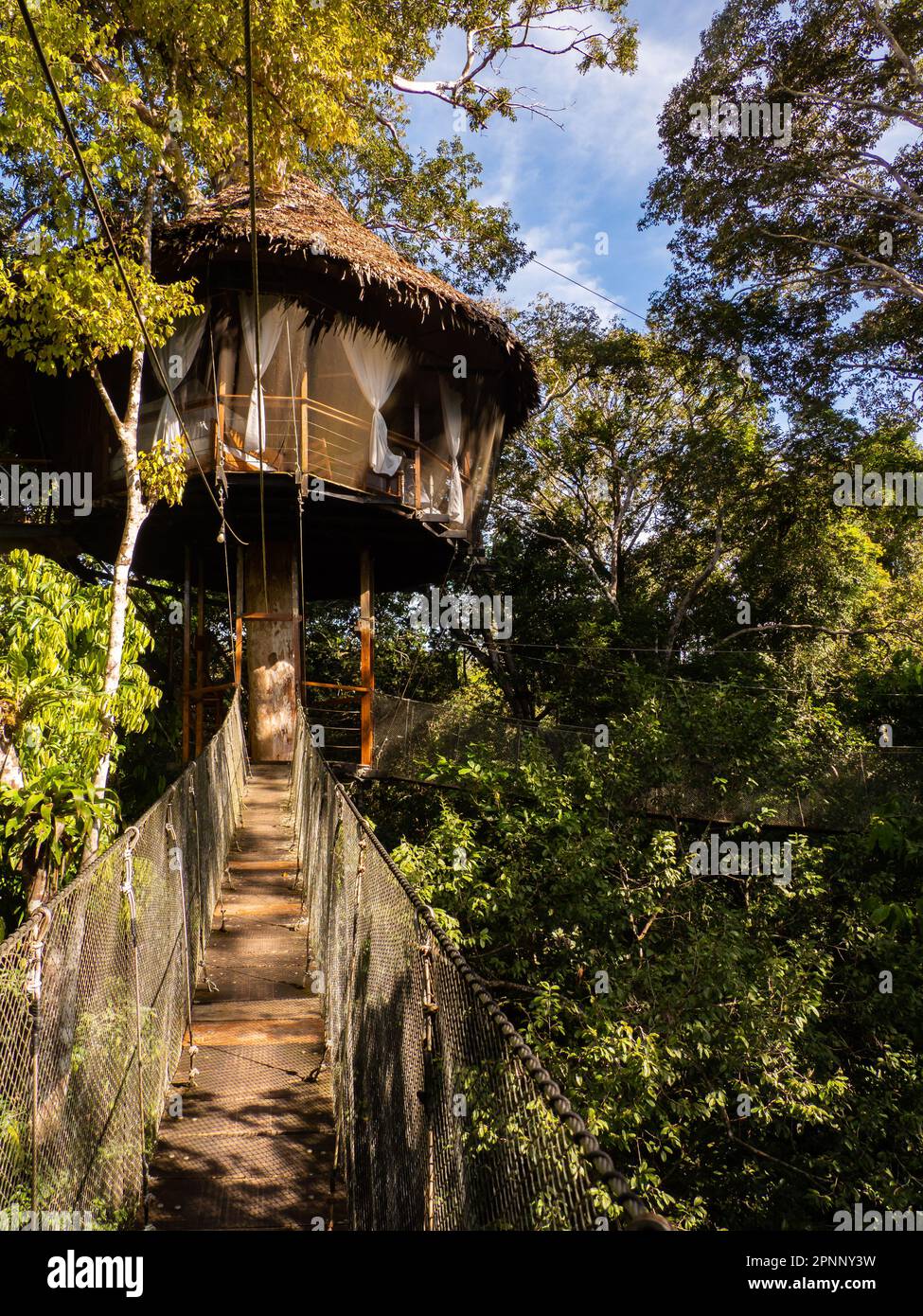Alloggi glamping nella foresta pluviale Amazzonica. Treehouse in legno, Foresta pluviale Amazzonica, Amazzonia, Pacaya Samiria National Reserve, Perù, Sud America. Foto Stock