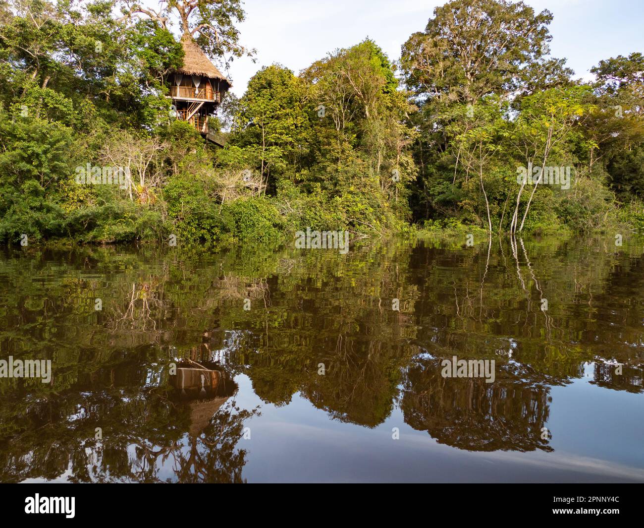 Alloggi glamping nella foresta pluviale Amazzonica. Treehouse in legno, Foresta pluviale Amazzonica, Amazzonia, Pacaya Samiria National Reserve, Perù, Sud America. Foto Stock