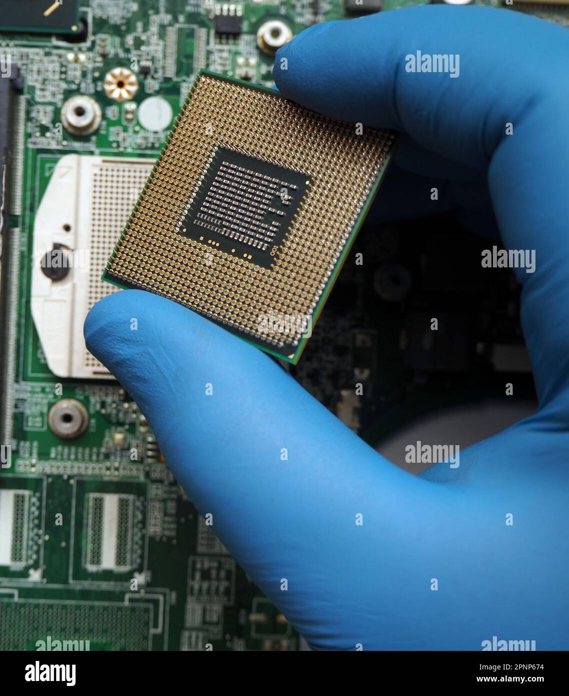 Scheda elettronica con la CPU rimossa dalla presa. Aggiornamento microprocessore, CPU o GPU. Scheda a circuito stampato con processore. Foto Stock