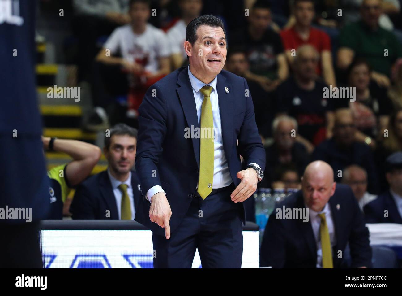 Belgrado, Serbia, 13 aprile 2023. L'allenatore Dimitris Itoudis di Fenerbahce Beko Istanbul reagisce durante la partita di Eurolega della Turkish Airlines 2022/2023 tra Crvena Zvezda MTS Belgrado e Fenerbahce Beko Istanbul nella sala Aleksandar Nikolic di Belgrado, Serbia. Aprile 13, 2023. Credito: Nikola Krstic/Alamy Foto Stock