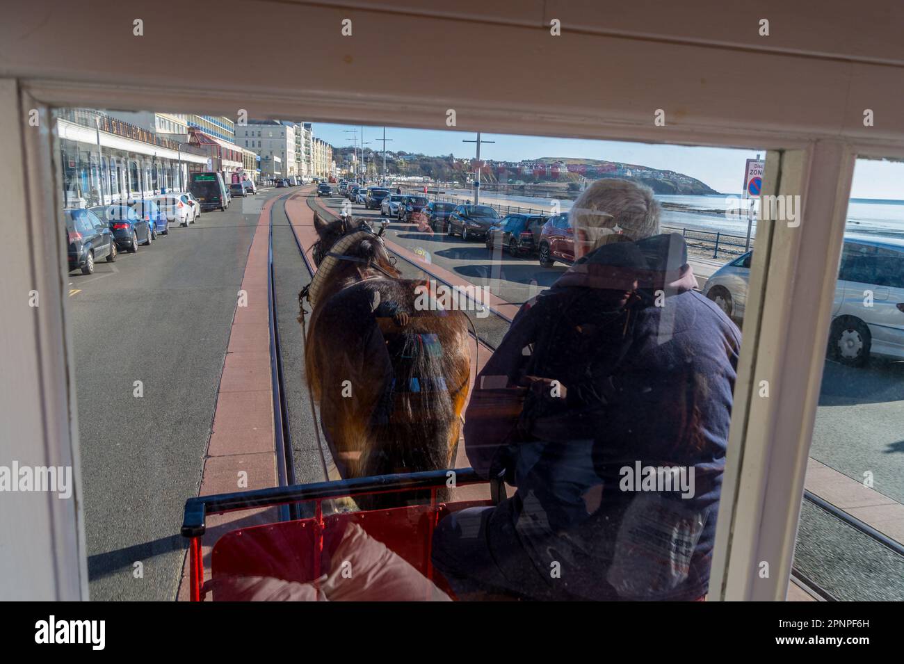 Horse Tram, tram passeggeri trainato da cavalli, Douglas, Isola di Man Foto Stock