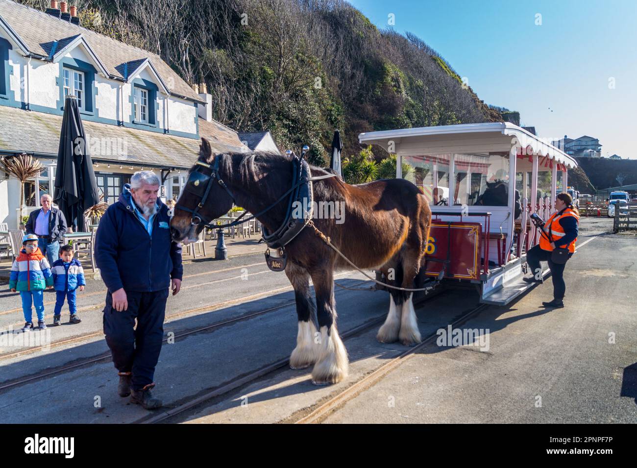 Horse Tram, tram passeggeri trainato da cavalli, Douglas, Isola di Man Foto Stock