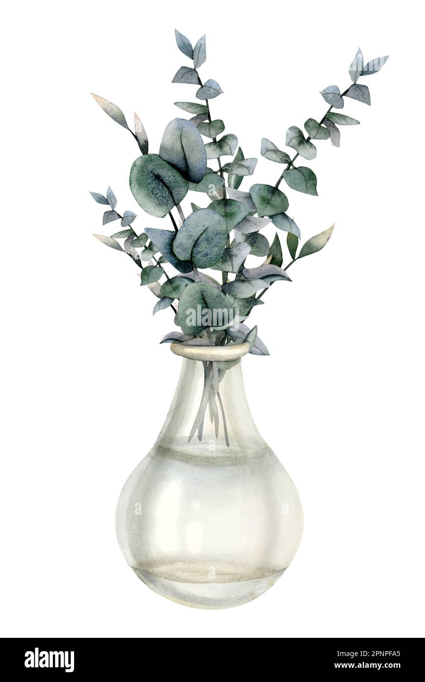 Acquerello rametti di eucalipto bouquet in vaso di vetro trasparente. Clipart interno disegnato a mano decorazione casa isolato su sfondo bianco. EC Foto Stock