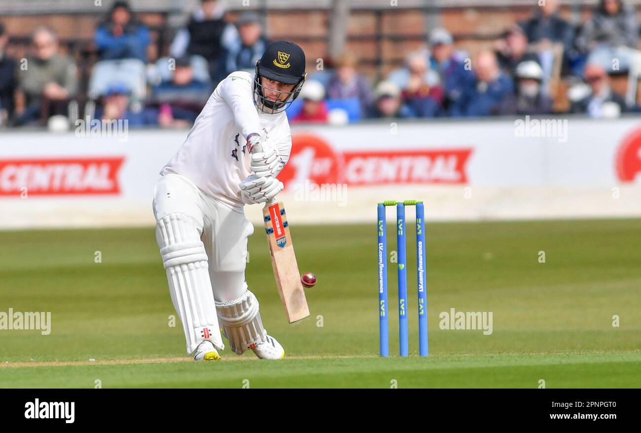 Hove UK 20th Aprile 2023 - Tom Haines battendo per il Sussex contro lo Yorkshire durante la partita di cricket LV= Insurance County Championship al 1st Central County Ground di Hove : Credit Simon Dack /TPI/ Alamy Live News Foto Stock