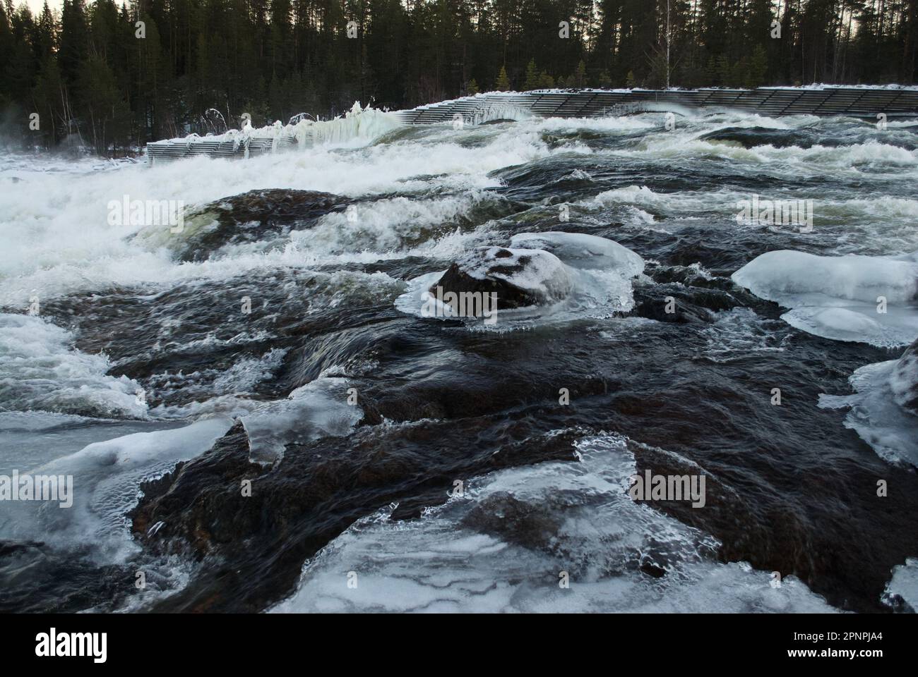 Cascata d'inverno magica Storforsen, a nord della Svezia in inverno Foto Stock