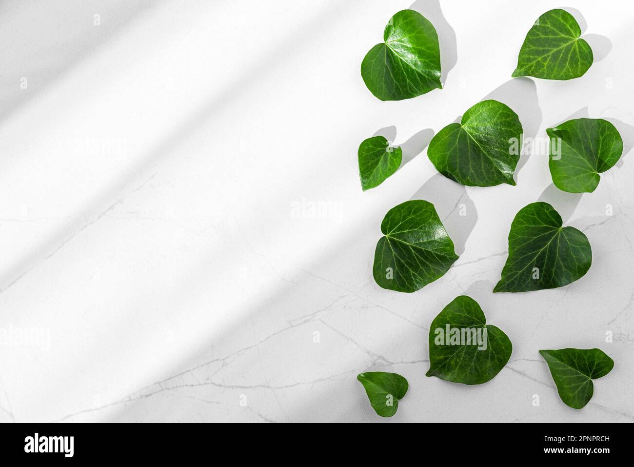 Foglie verdi a forma di cuore su sfondo di marmo bianco con luce dura. Eco concept, protezione della natura e dell'ecologia. Vista dall'alto con spazio di copia Foto Stock