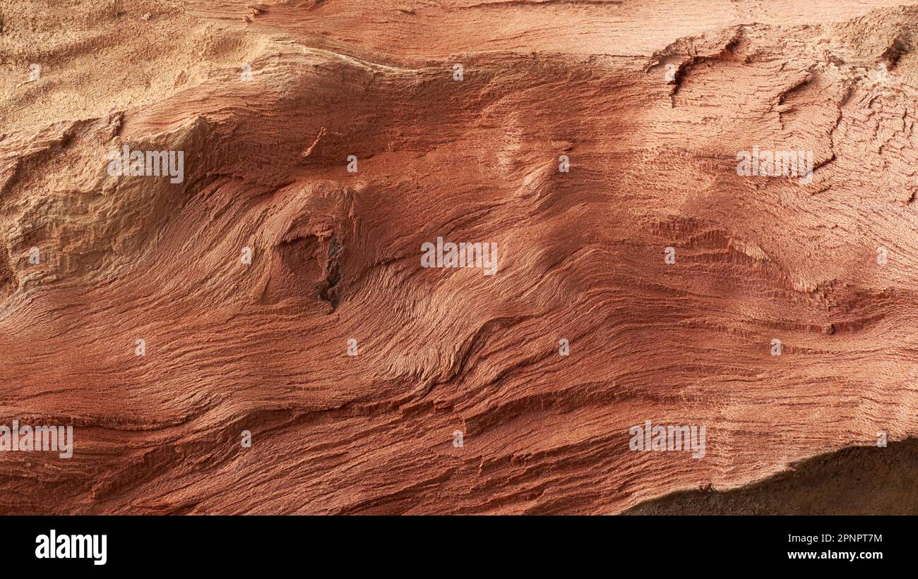 primo piano di legno astratto, primo piano di corteccia di albero con superficie irregolare, sfondo di legno rosso full frame, carta da parati modello naturale, risorse grafiche Foto Stock