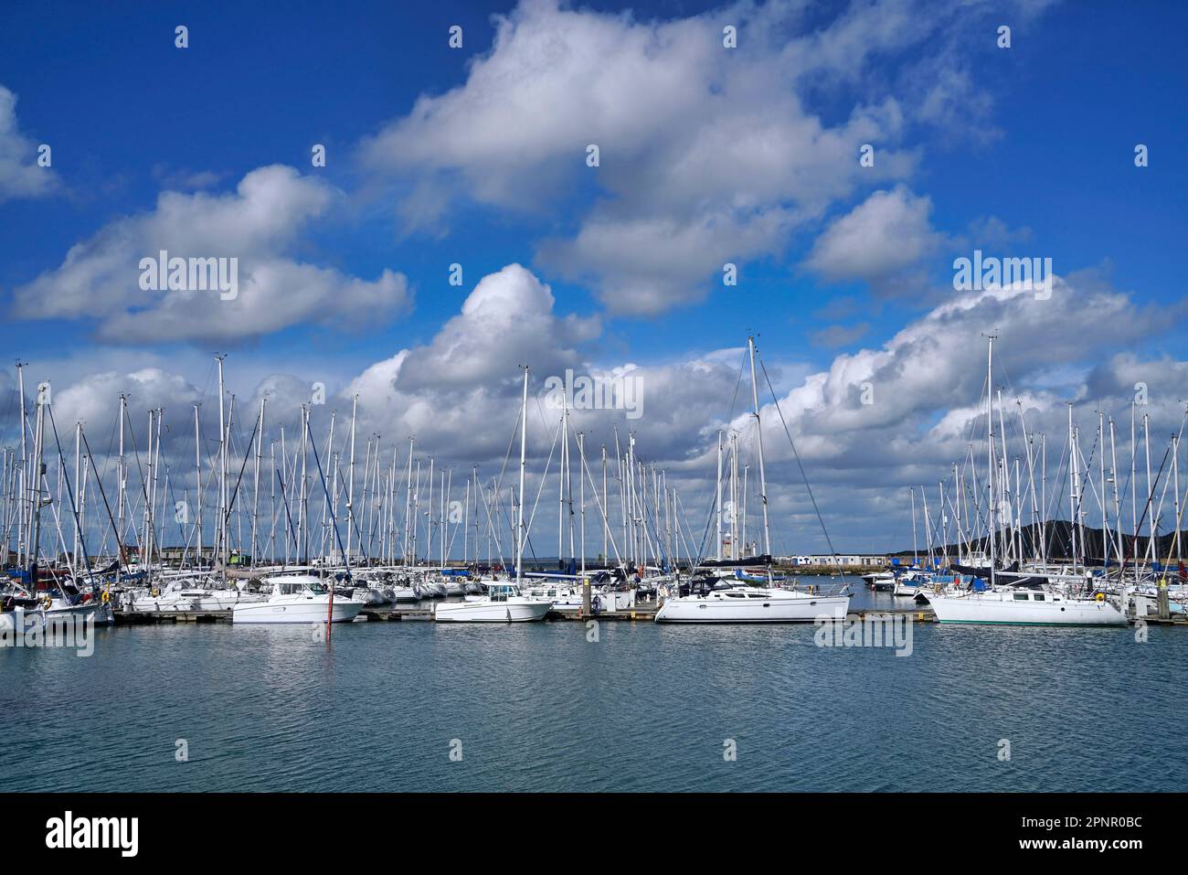 Marina con lunga linea di barche a vela bianche Foto Stock