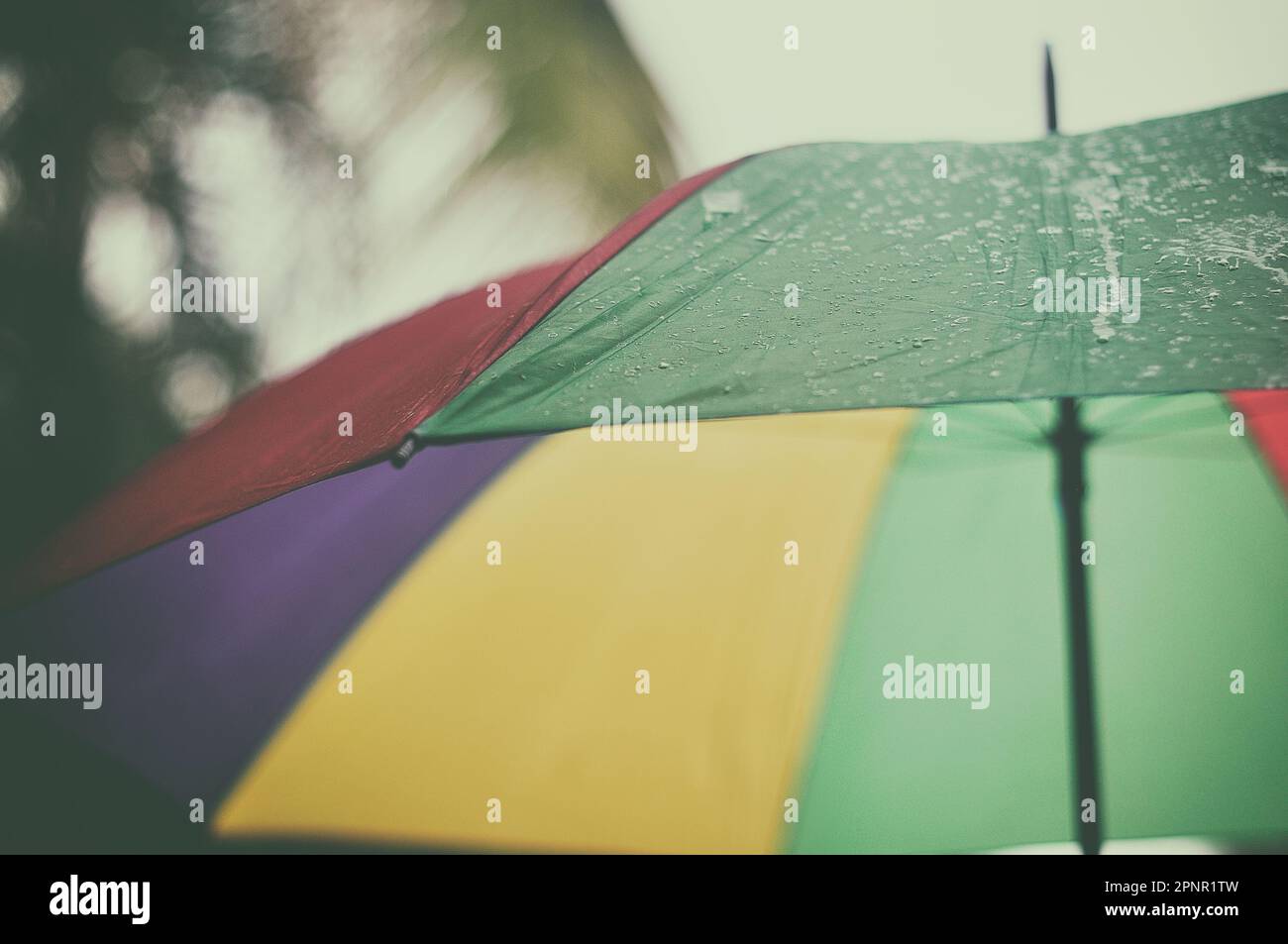 Primo piano di un ombrello multicolore bagnato aperto sotto la pioggia Foto Stock