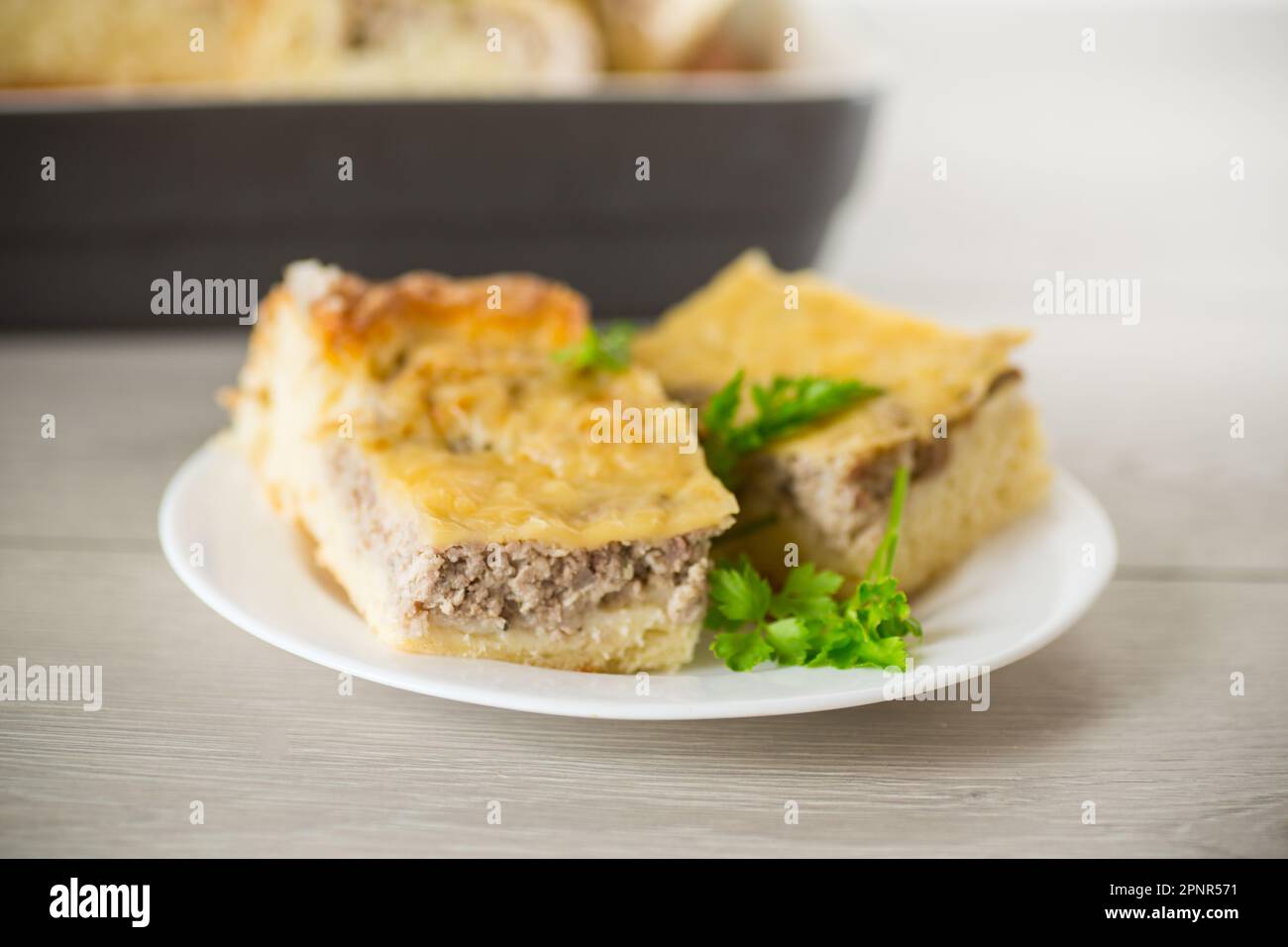 Torta di carne cotta, pezzi in un piatto su un tavolo di legno. Foto Stock