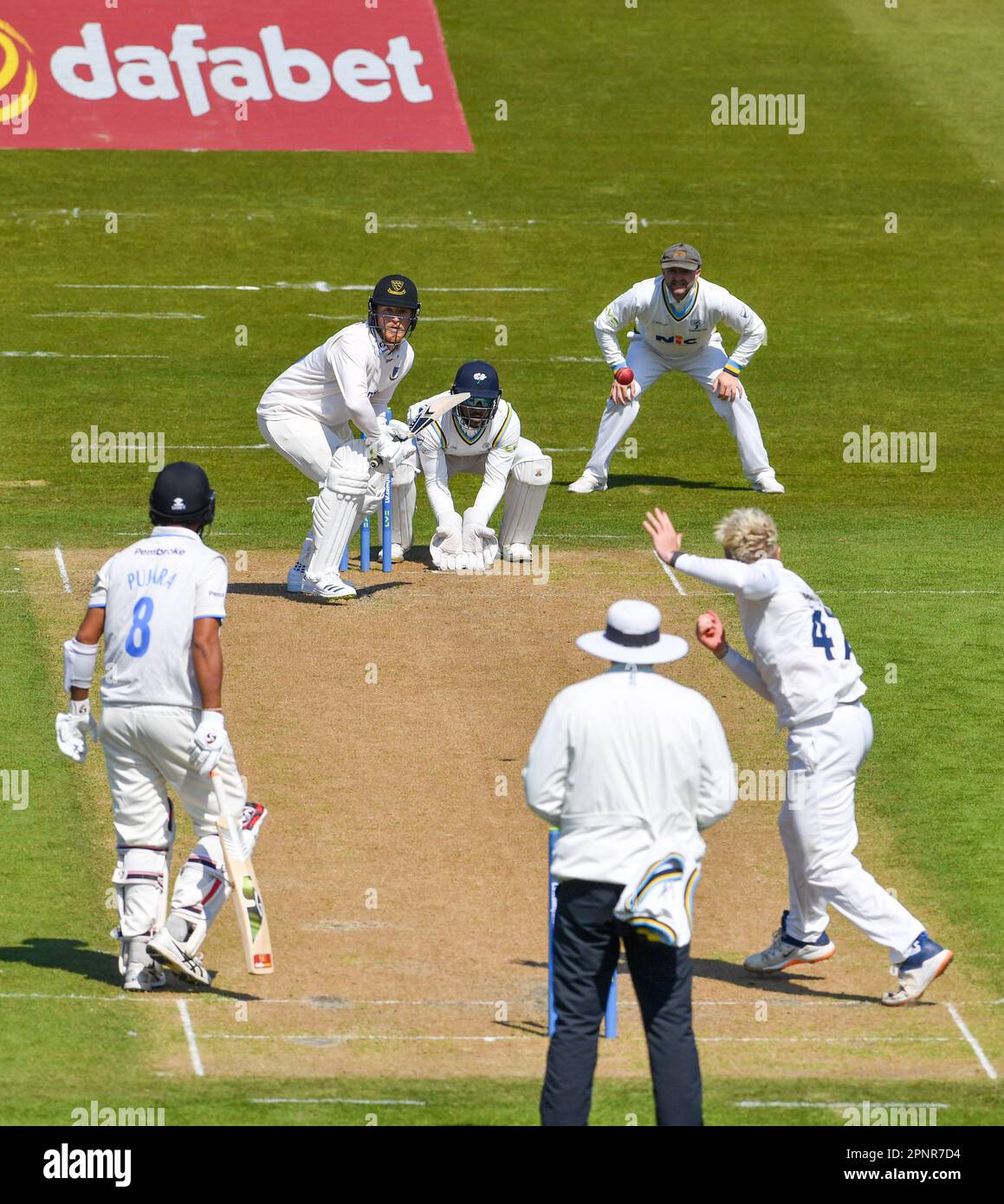 Hove UK 20th Aprile 2023 - Tom Alsop battendo per il Sussex contro lo Yorkshire durante la partita di cricket LV= Insurance County Championship al 1st Central County Ground di Hove : Credit Simon Dack /TPI/ Alamy Live News Foto Stock