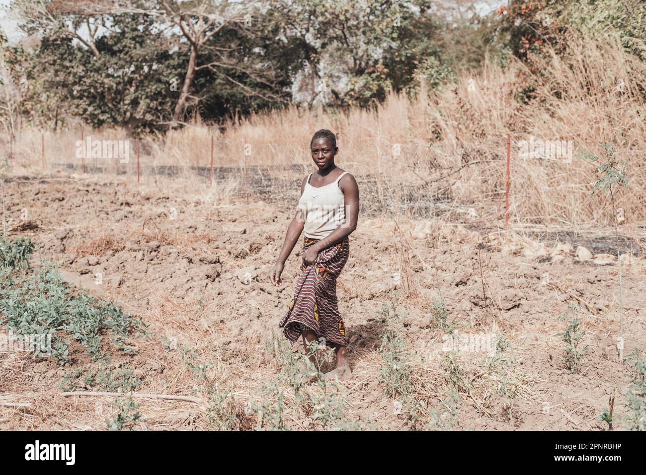 Ouagadougou, Burkina Faso. Dicembre 2017. Alcuni momenti di lavoro in una cooperativa agricola vicino alla capitale, dove l'acqua è di solito scarsa Foto Stock