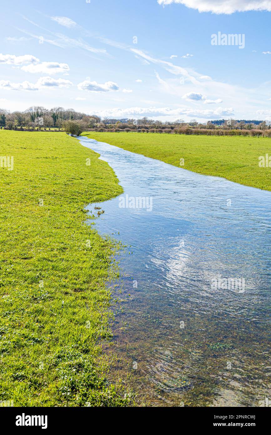 Un affluente intermittente al neonato Tamigi a 2 km dalla sua sorgente a Tamigi Head sul Cotswolds vicino a Kemble, Gloucestershire, Inghilterra UK Foto Stock