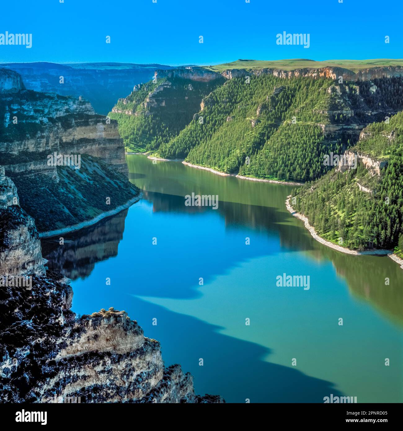 canyon nero braccio di lago di bighorn vicino fort smith, montana Foto Stock