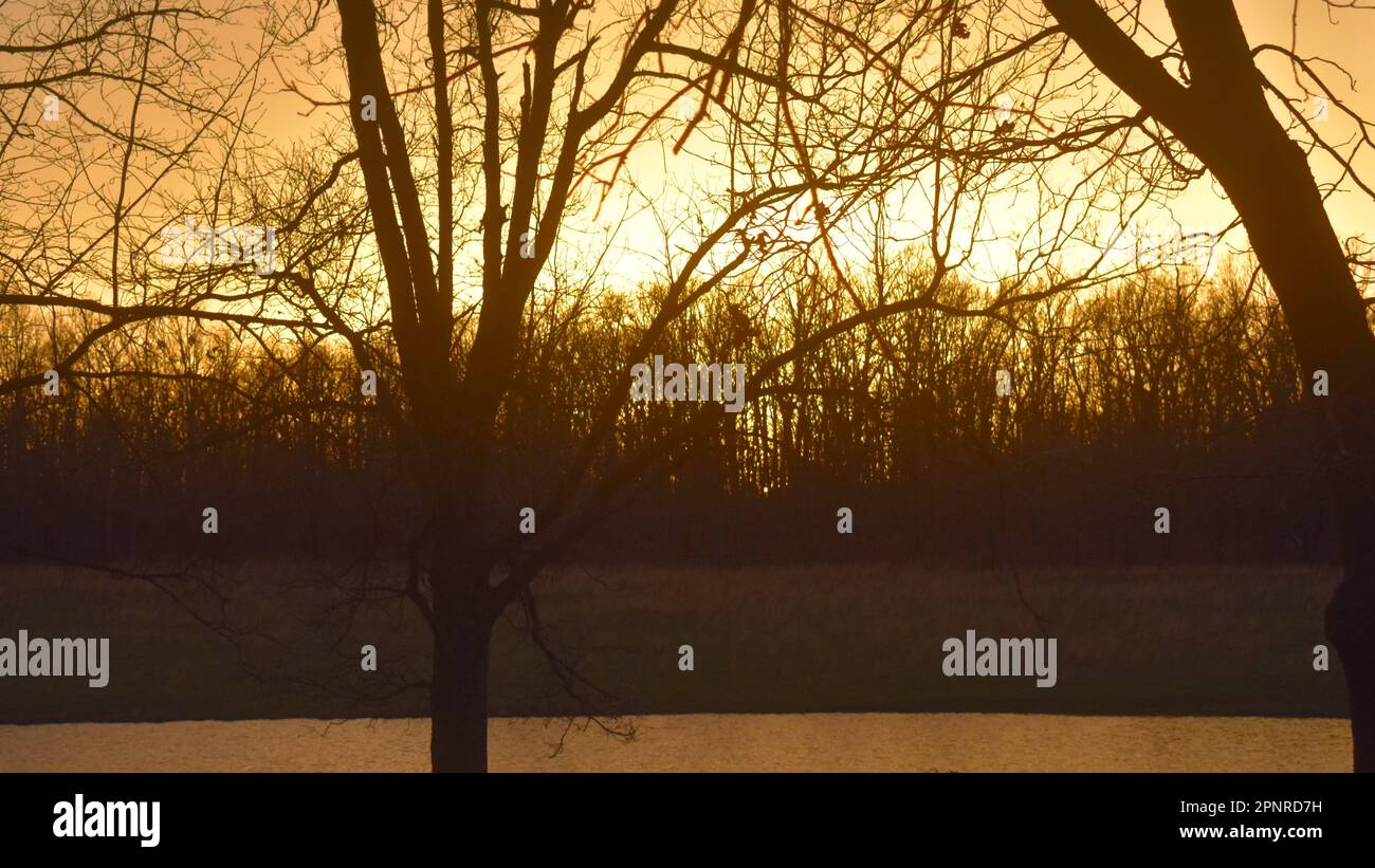 Il sole tramonta su una fattoria nella campagna del Missouri, facendo una bella fine alla giornata. Una scheggia di stagno mostra riflessi della luce del sole. Foto Stock