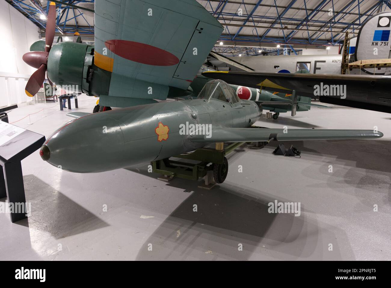 Yokosuka MXY7 Ohka 'Cherry Blossom' velivolo di attacco suicida Foto Stock