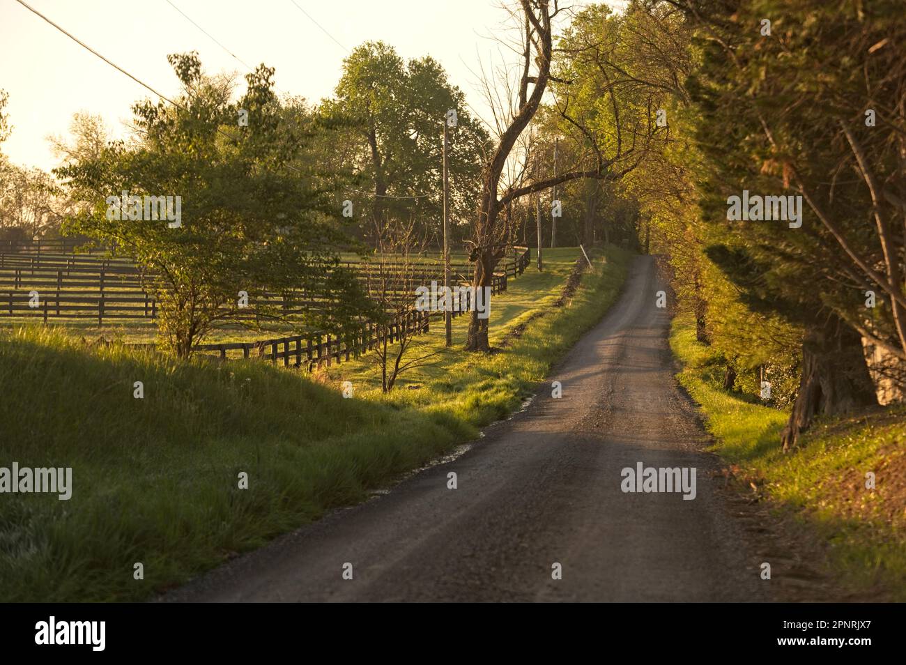 Stati Uniti: Aprile, 15 2023: Alba lungo Millville Road vicino al villaggio di St. Louis. Foto di Douglas Graham Foto Stock